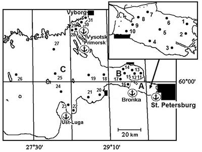 Effects of Environmental Gradients on the Biomass of Alien Cercopagis pengoi in the Neva Estuary